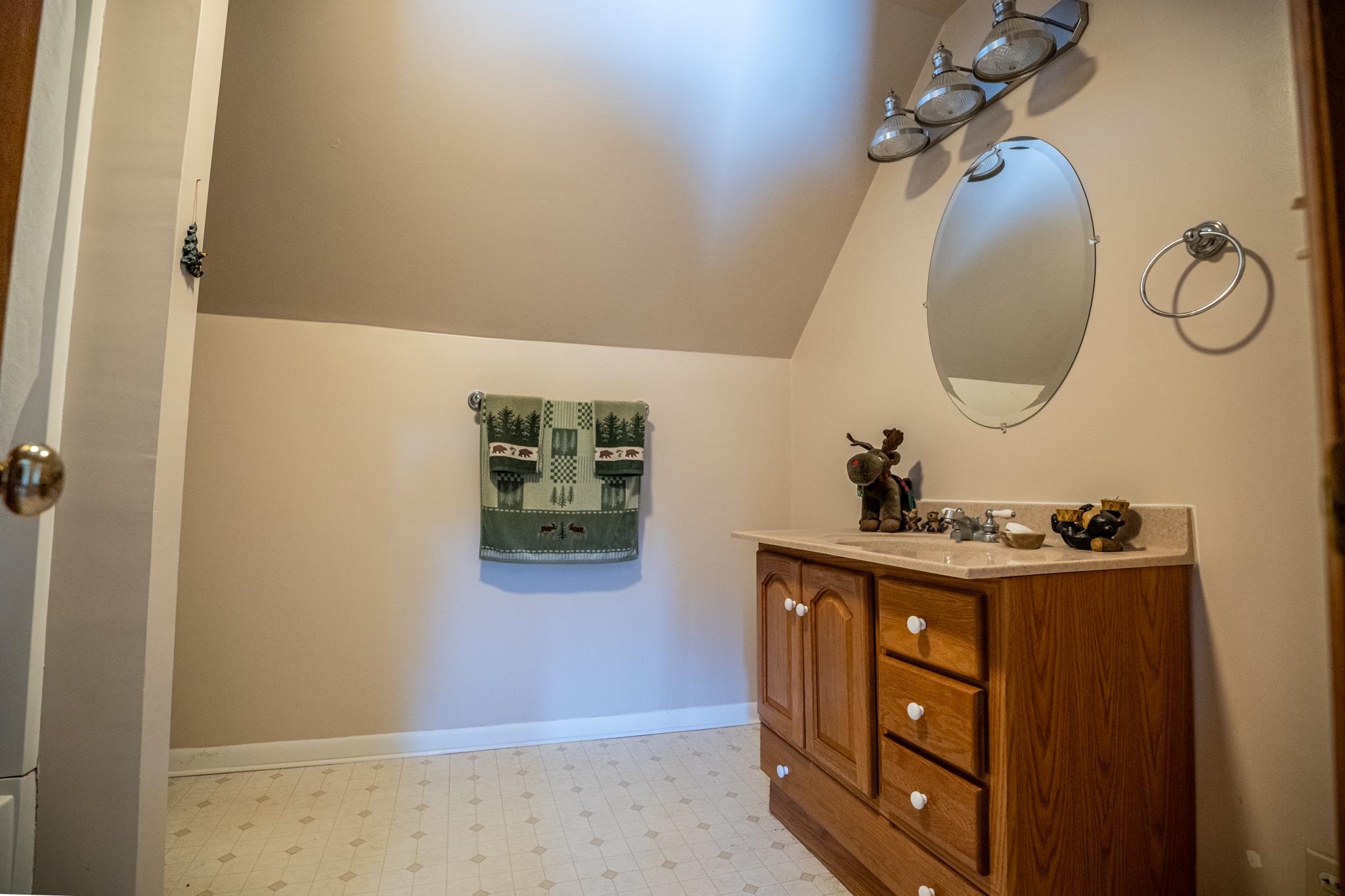 13965 East Dutch Road Rochelle, IL 61068 - Photo 21 of 50 a bathroom with a sink mirror and vanity