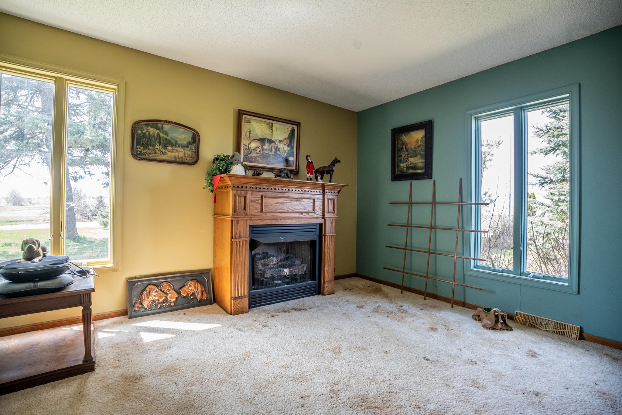 13965 East Dutch Road Rochelle, IL 61068 - Photo 10 of 50 a living room with furniture and a window