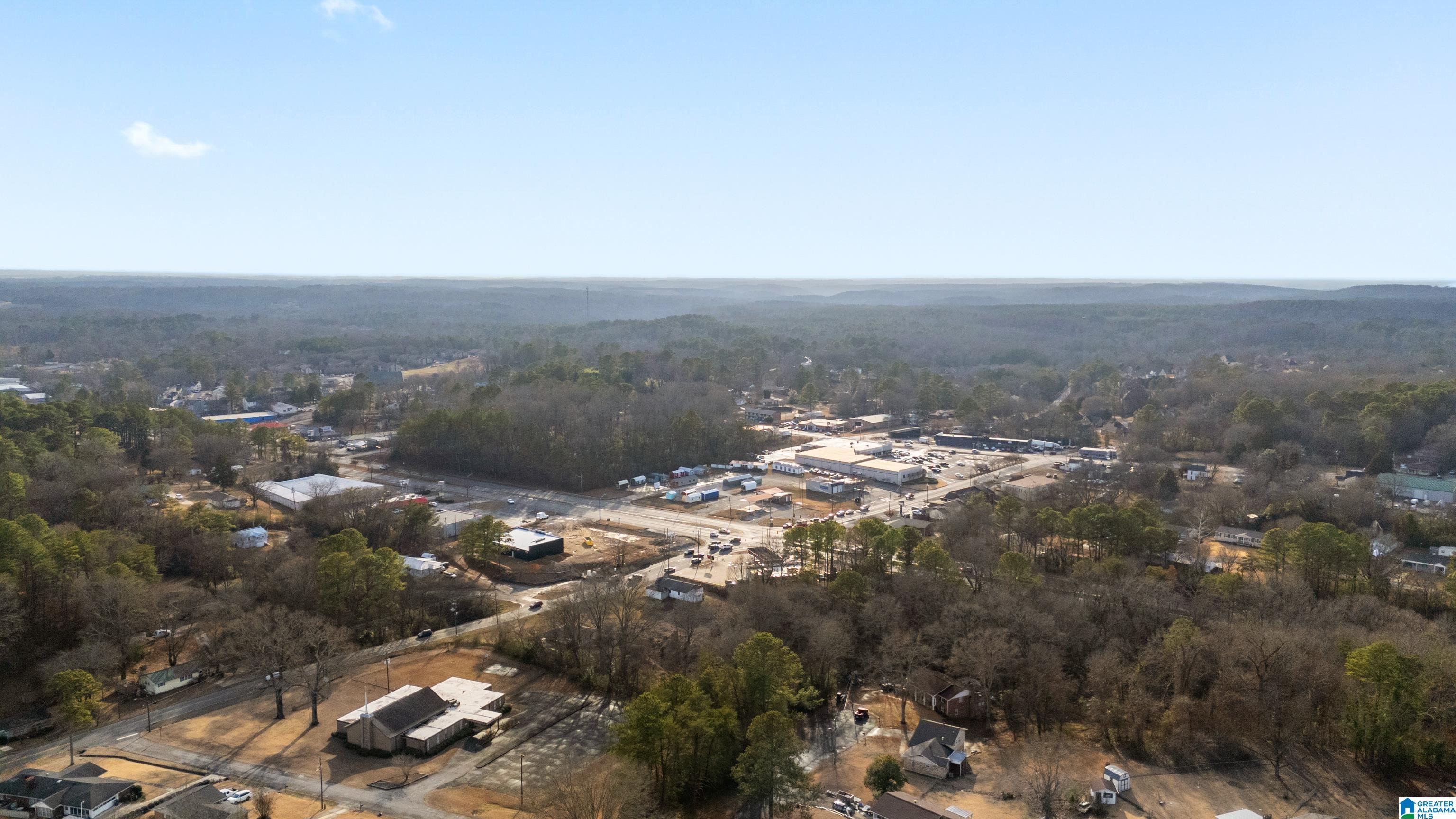 208 Kyle Court Gardendale, AL 35071 - Photo 53 of 54