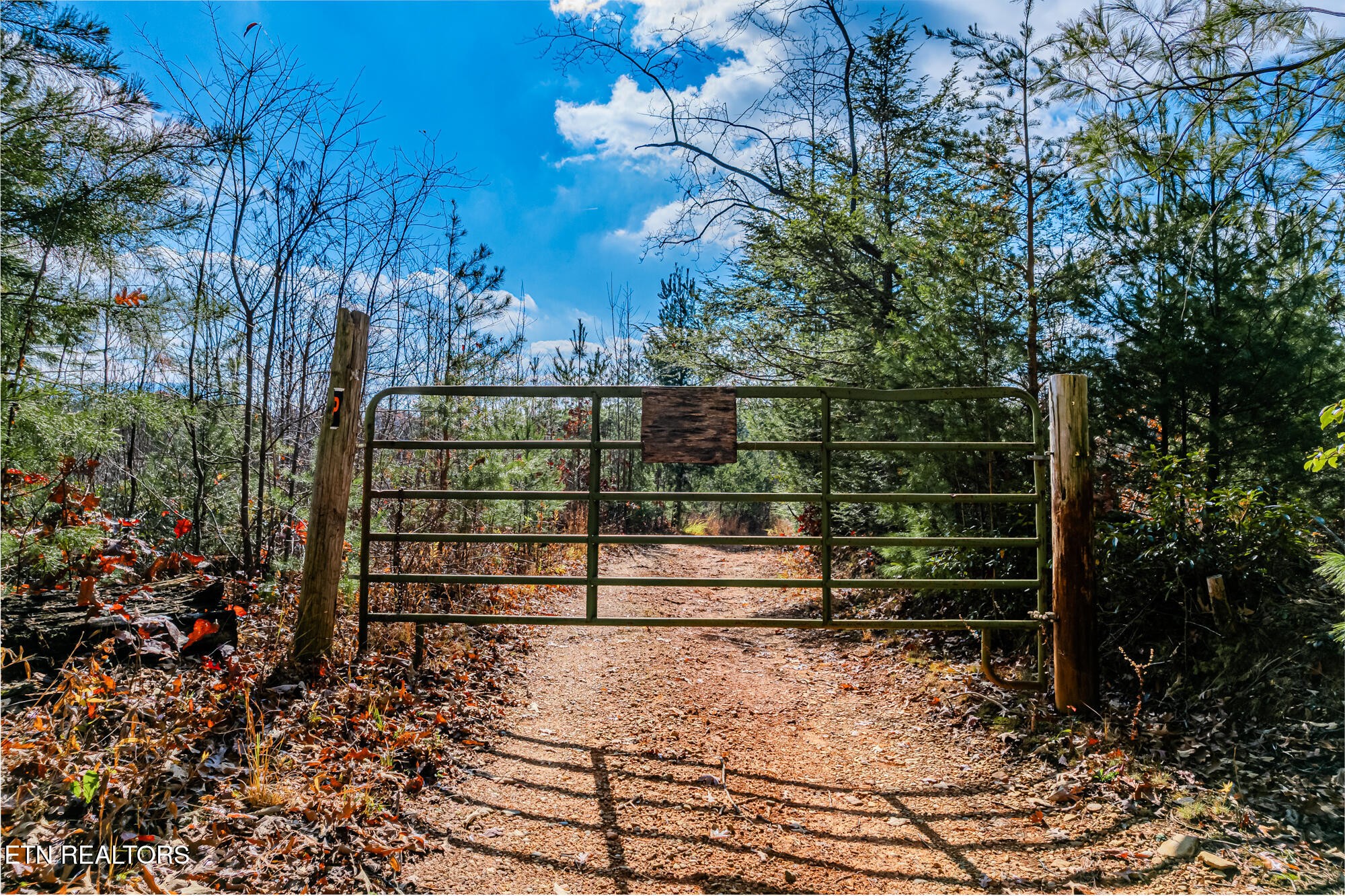 0 Pond Ridge Road Tellico Plains, TN 37385 - Photo 3 of 32