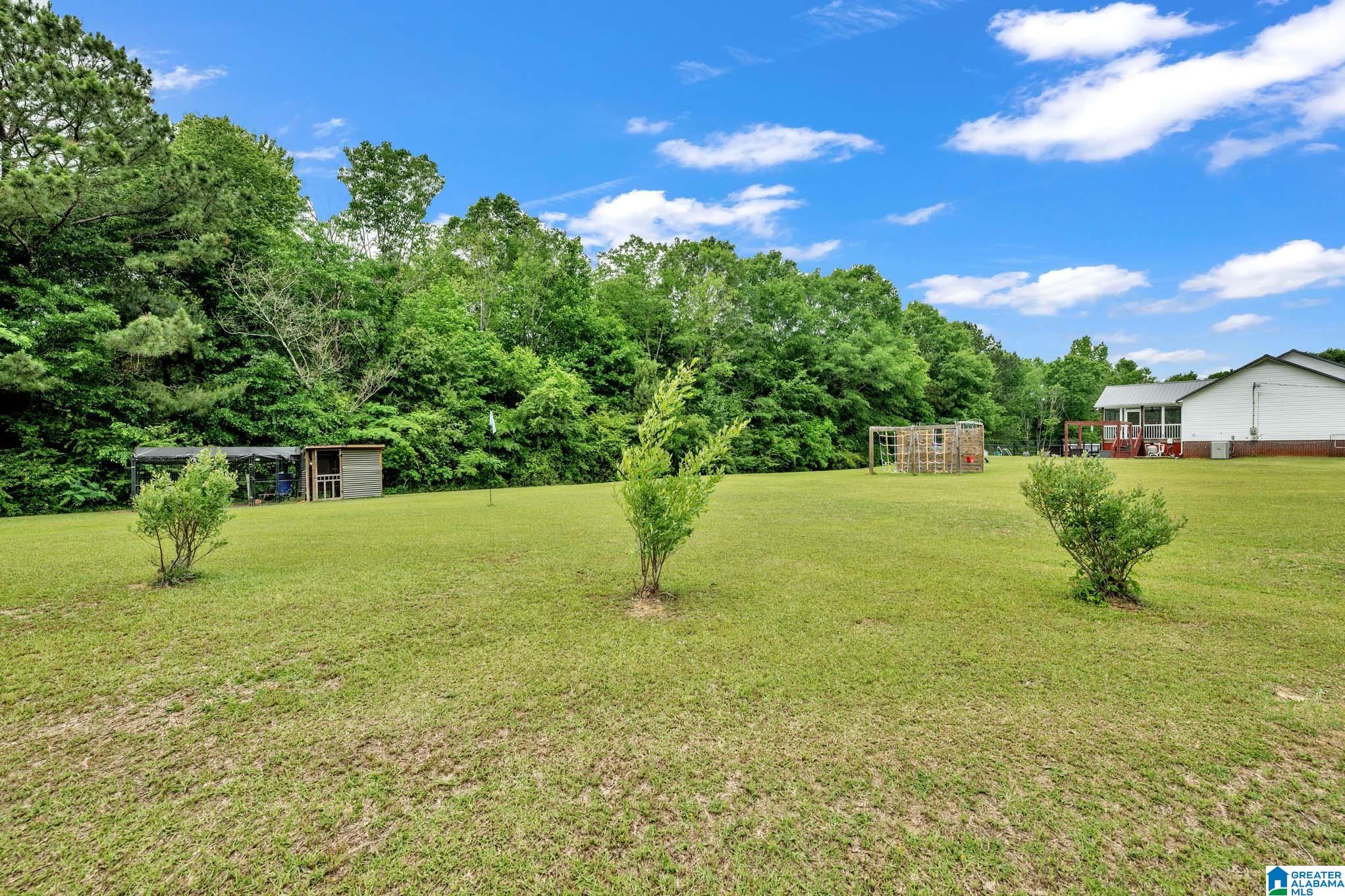 292 Elbert Gallimore Road Hayden, AL 35079 - Photo 36 of 57 Gallery Image 36