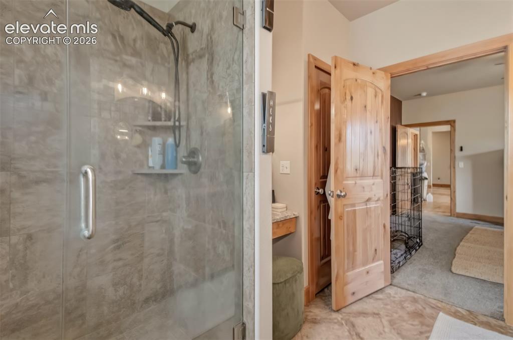 378 High Pasture Road Florissant, CO 80816 - Photo 20 of 37
