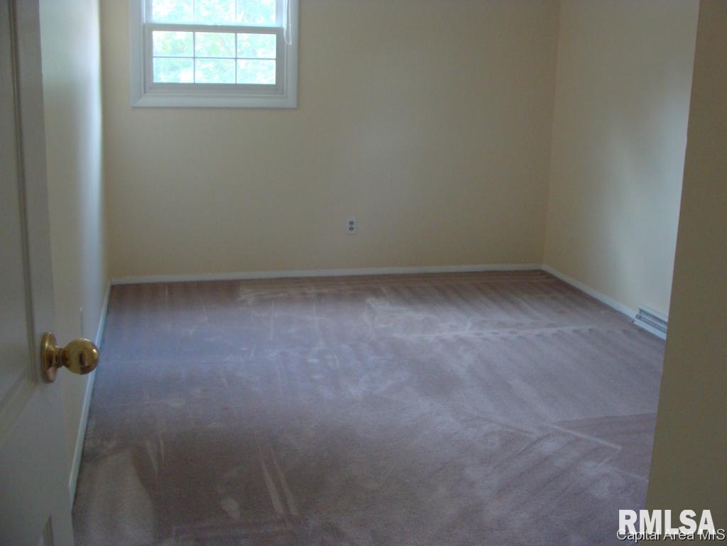 808 Randolph Court Springfield, IL 62702 - Photo 13 of 18