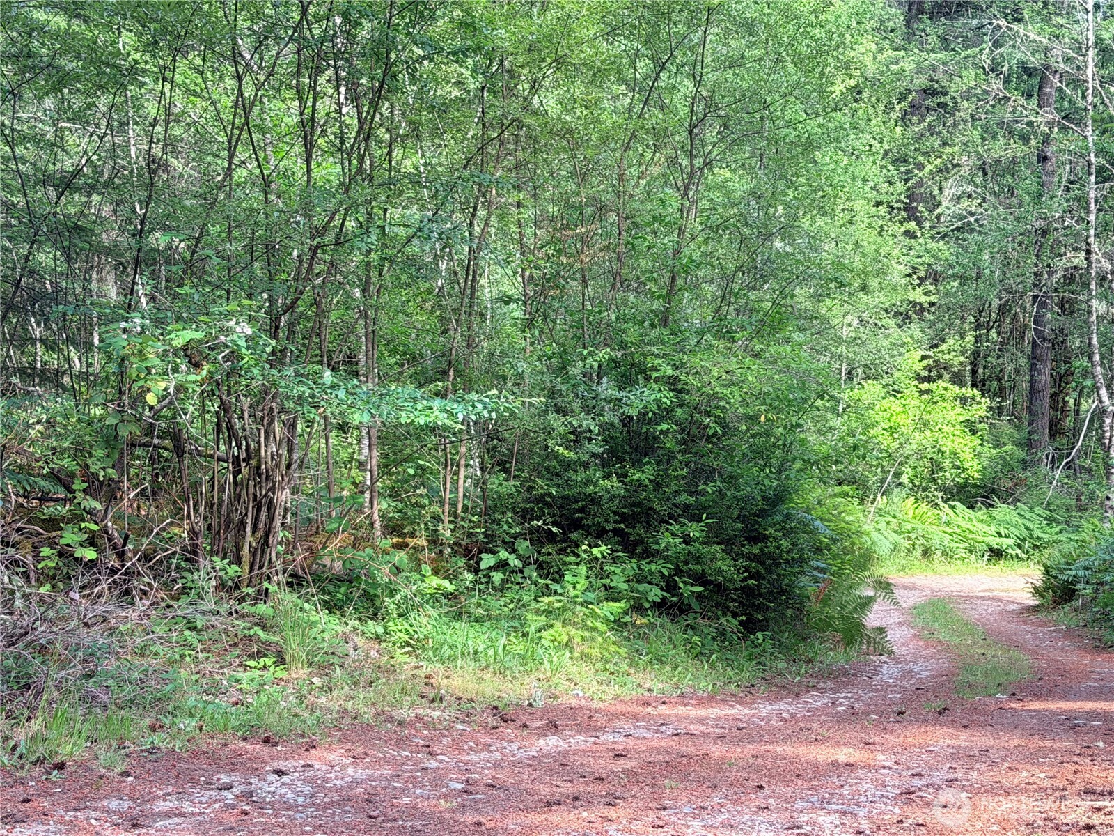 5445 Southwest County Line Road Port Orchard, WA 98367 - Photo 3 of 26