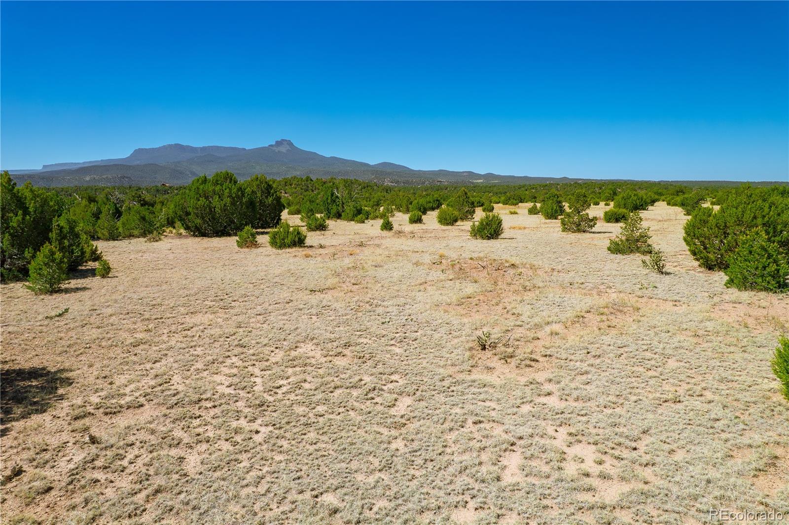 37300 Kunzite Road Trinidad, CO 81082 - Photo 3 of 35