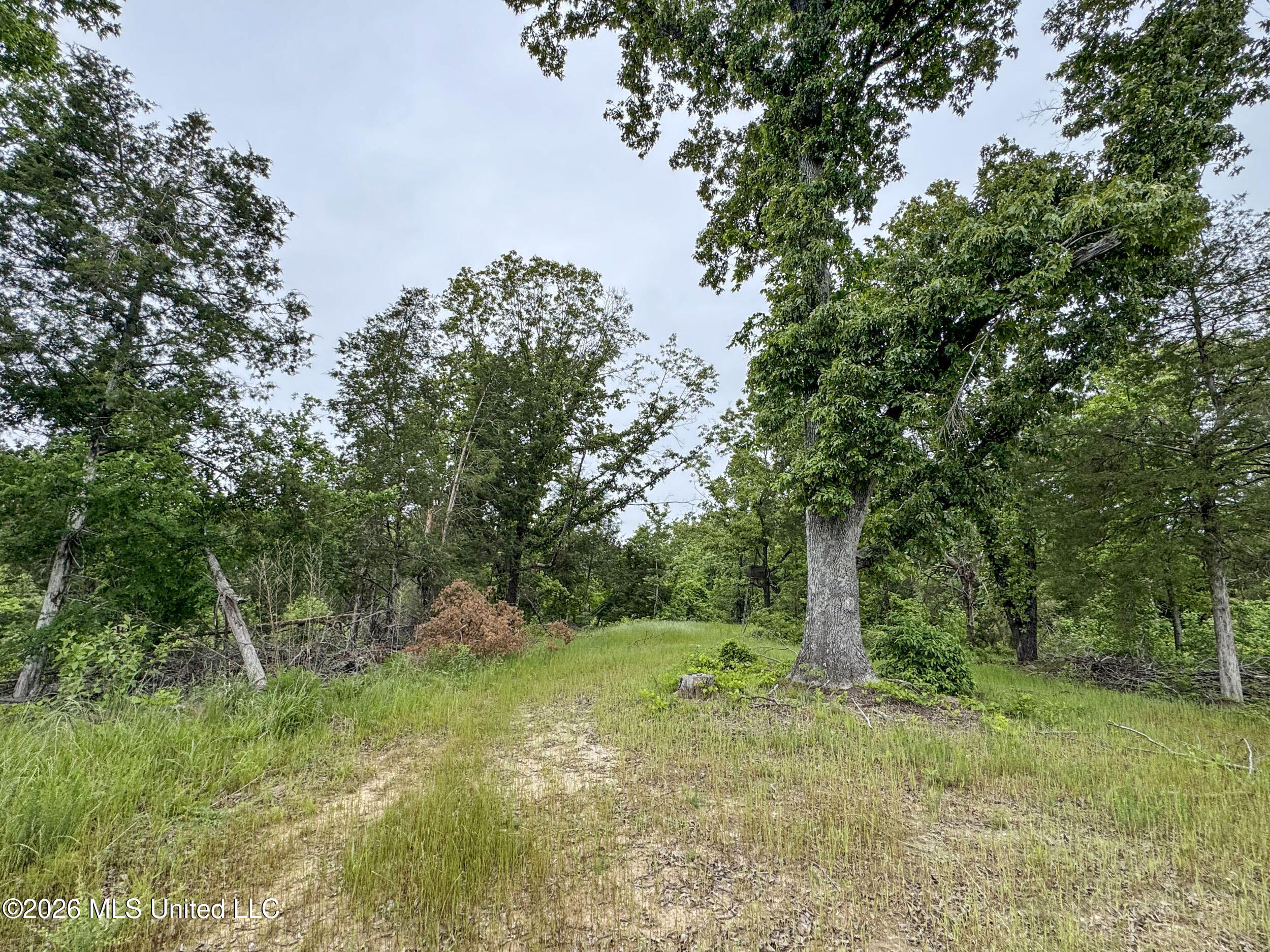 Wayne Massie Road Como, MS 38619 - Photo 88 of 184 5cdtbs19