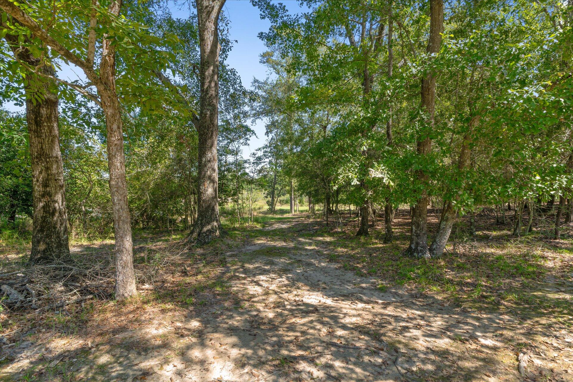 8510 Rock Hill Road Baker, FL 32531 - Photo 37 of 58 58-8510 Rock Hill Rd-0058