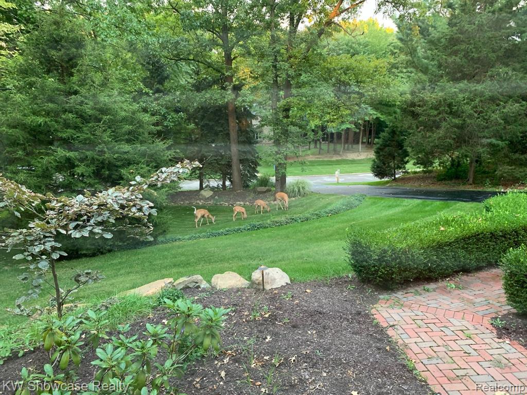 1405 Timber Ridge Court Milford, MI 48380 - Photo 33 of 42 Gallery Image 33