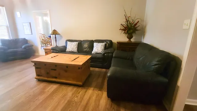 a living room with furniture and a potted plant