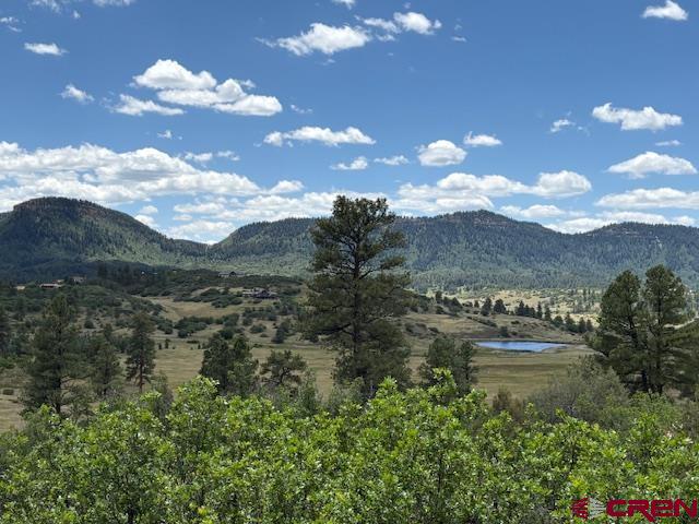 311 East Arbol Park Dr  