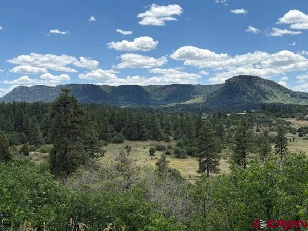 $98,499 | 311 East Arbol Park Drive, Chromo, CO 81128