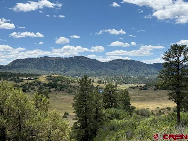 a view of a bunch of trees