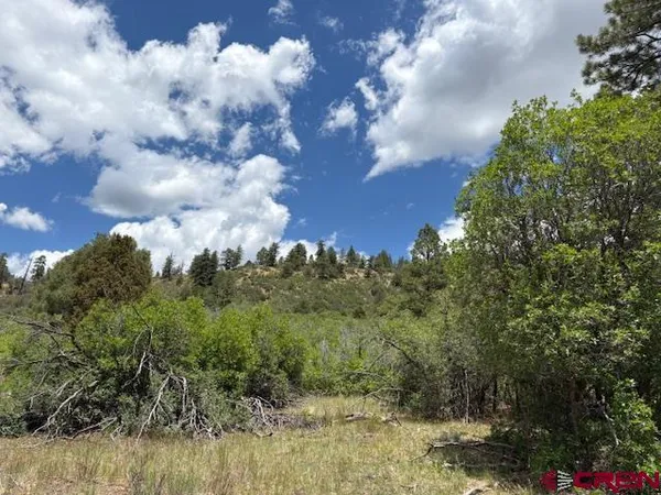 $98,499 | 311 East Arbol Park Drive, Chromo, CO 81128