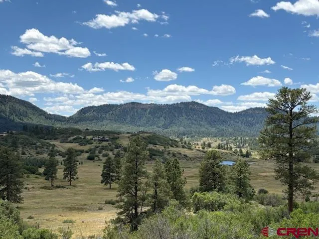 a view of a bunch of trees