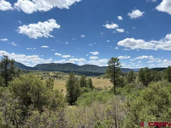 $98,499 | 311 East Arbol Park Drive, Chromo, CO 81128