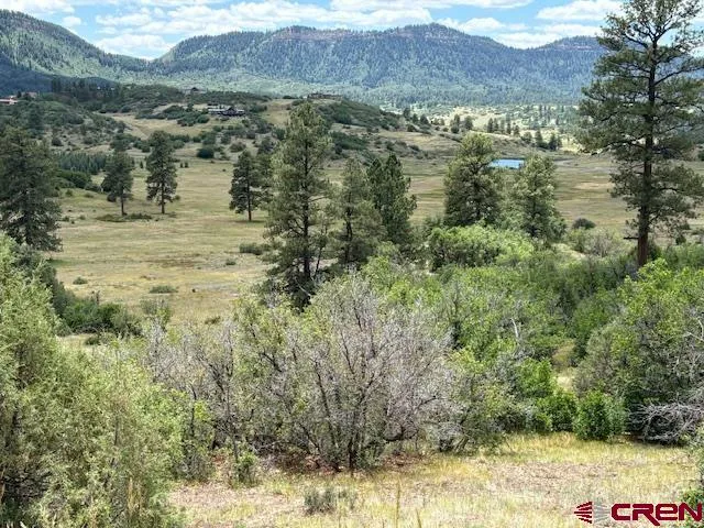 a view of a lake in middle of the forest