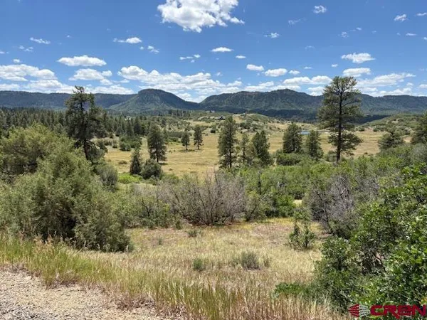 $98,499 | 311 East Arbol Park Drive, Chromo, CO 81128