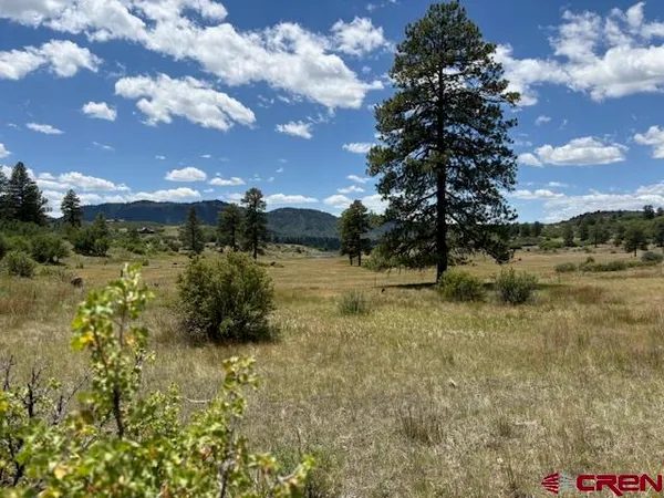 $98,499 | 311 East Arbol Park Drive, Chromo, CO 81128