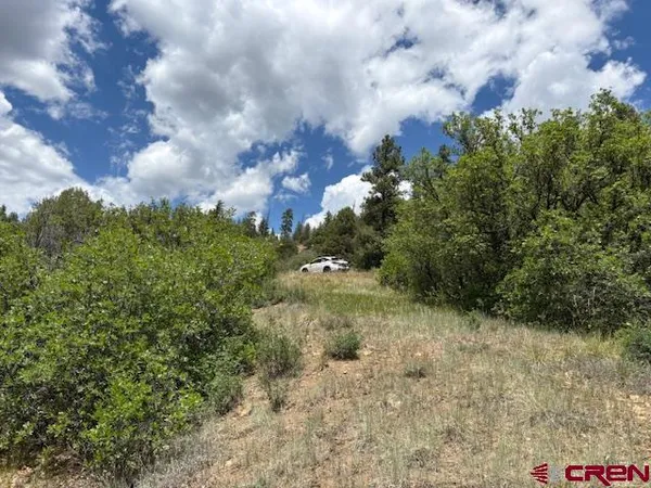 $98,499 | 311 East Arbol Park Drive, Chromo, CO 81128