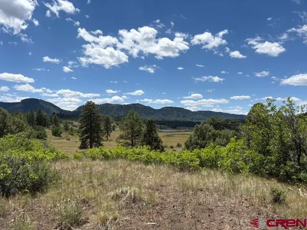 $98,499 | 311 East Arbol Park Drive, Chromo, CO 81128