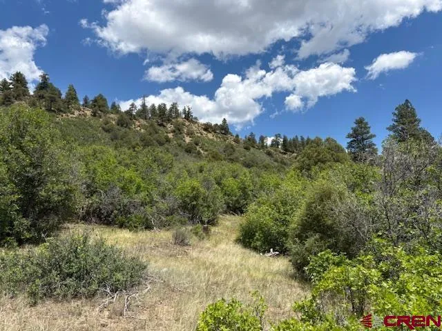 $99,999 | 311 East Arbol Park Drive, Chromo, CO 81128