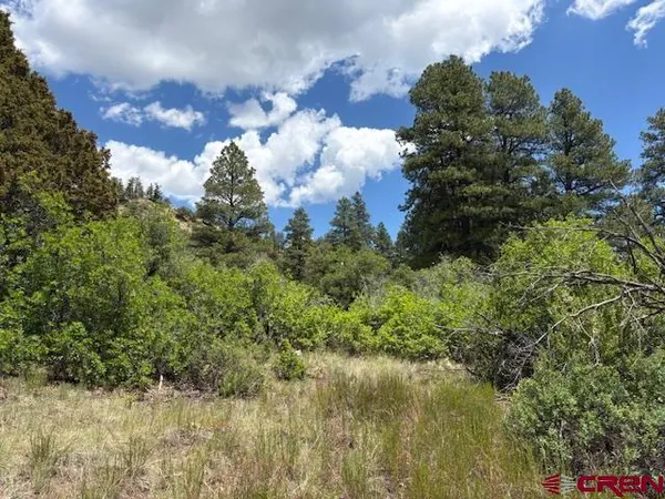 $98,499 | 311 East Arbol Park Drive, Chromo, CO 81128