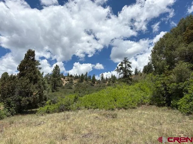 $99,999 | 311 East Arbol Park Drive, Chromo, CO 81128