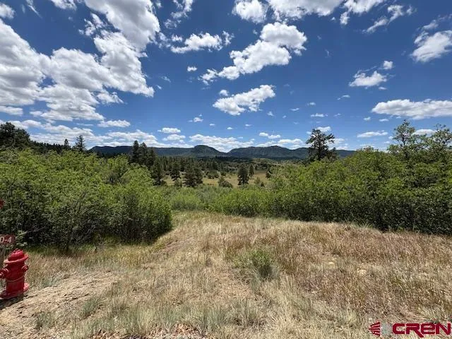$99,999 | 311 East Arbol Park Drive, Chromo, CO 81128