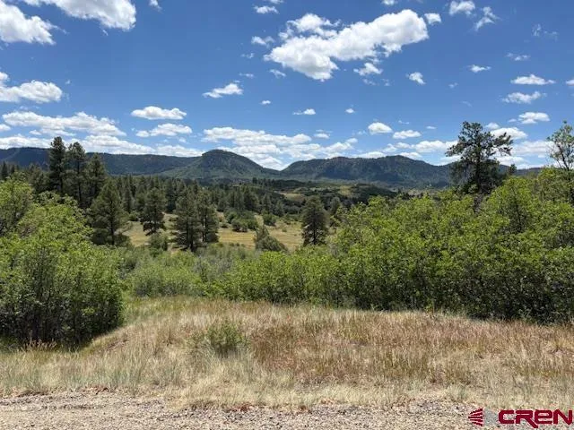 $99,999 | 311 East Arbol Park Drive, Chromo, CO 81128
