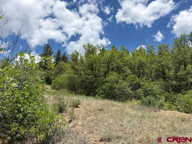 $99,999 | 311 East Arbol Park Drive, Chromo, CO 81128