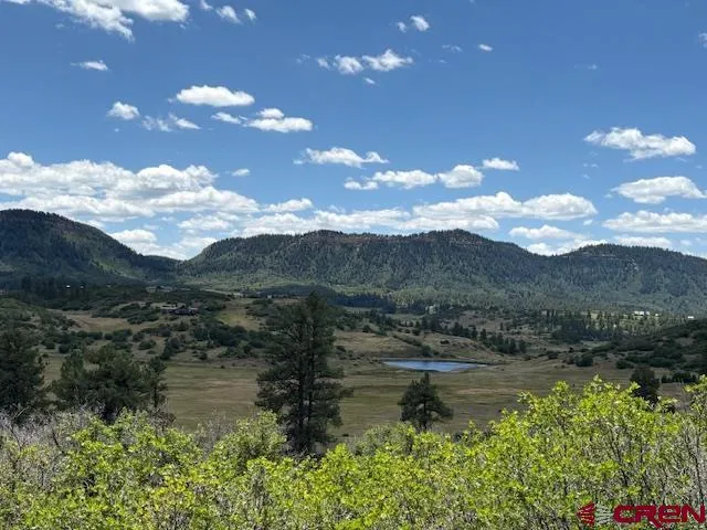 $99,999 | 311 East Arbol Park Drive, Chromo, CO 81128