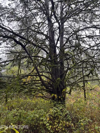 $850,000 | 63 Highway Speedwell Tn 37870, Speedwell, TN 37870