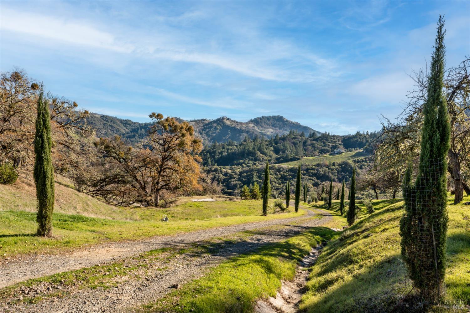 6620 Robinson Creek Road Ukiah, CA 95482 - Photo 18 of 47 a view of a yard with a house in the background
