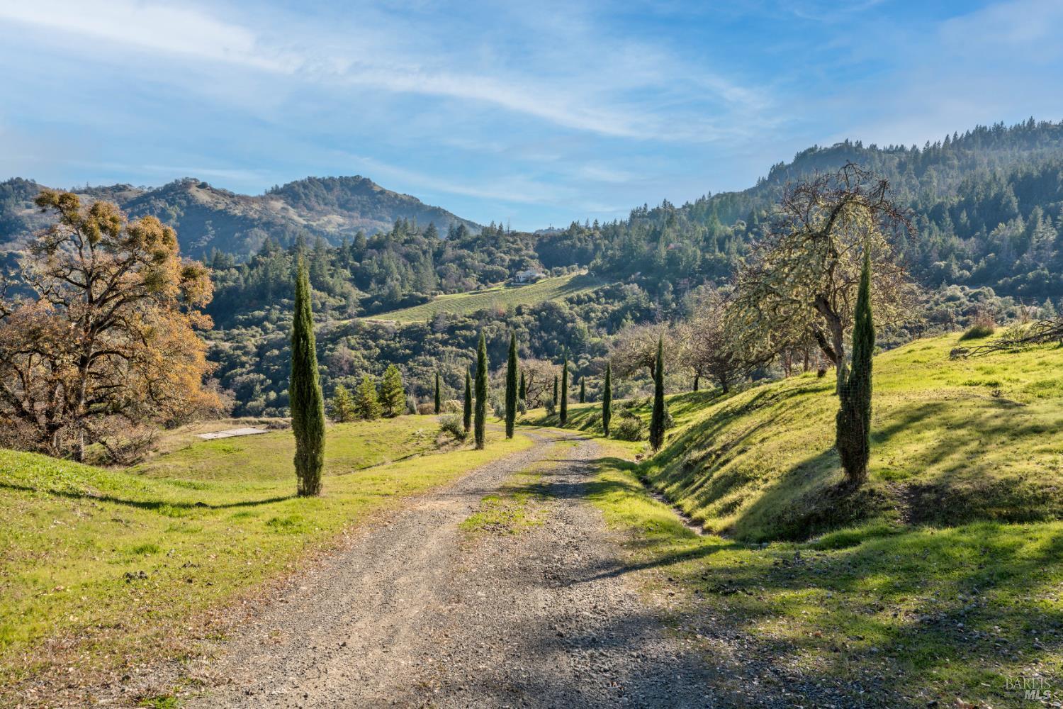 6620 Robinson Creek Road Ukiah, CA 95482 - Photo 4 of 47 a view of a yard with swimming pool