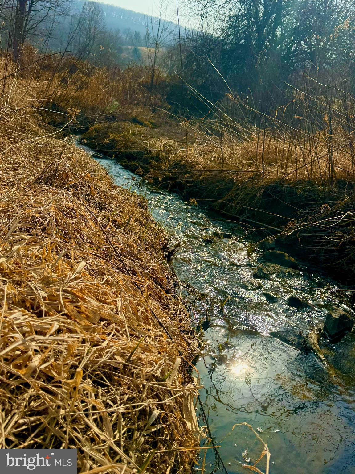 200-blk Carberry Road Saxton, PA 16678 - Photo 12 of 17