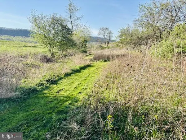 a big yard with lots of green space