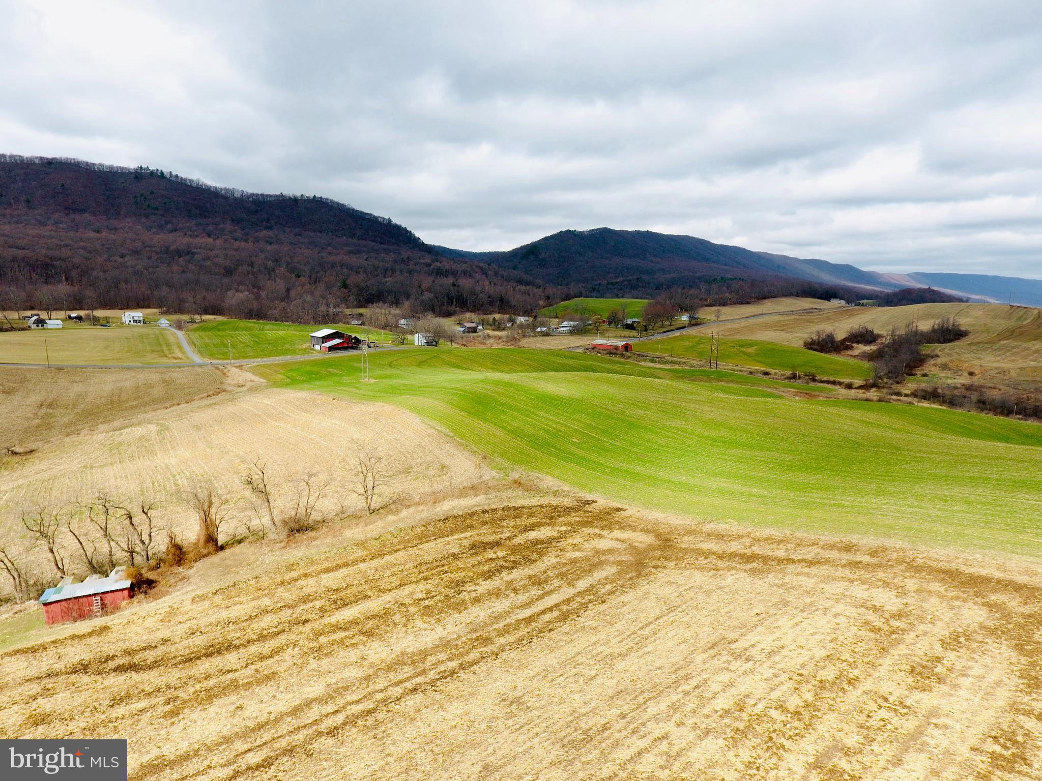 200-blk Carberry Road Saxton, PA 16678 - Photo 5 of 17