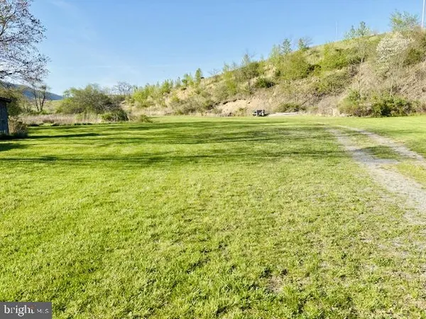 a view of a big yard with plants and large trees