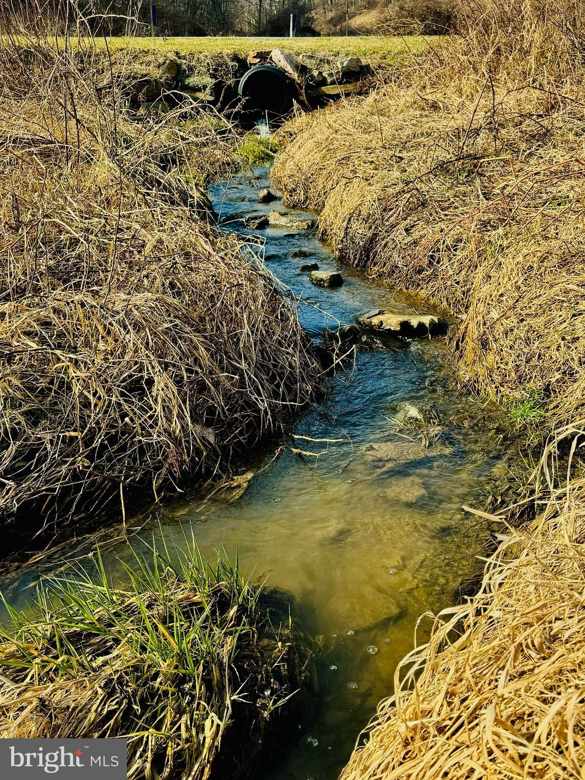 200-blk Carberry Road Saxton, PA 16678 - Photo 7 of 17