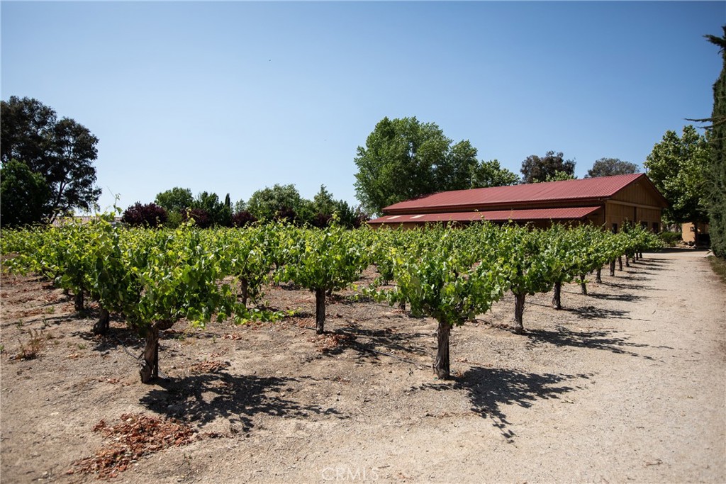 2995 Pleasant Road San Miguel, CA 93451 - Photo 48 of 75