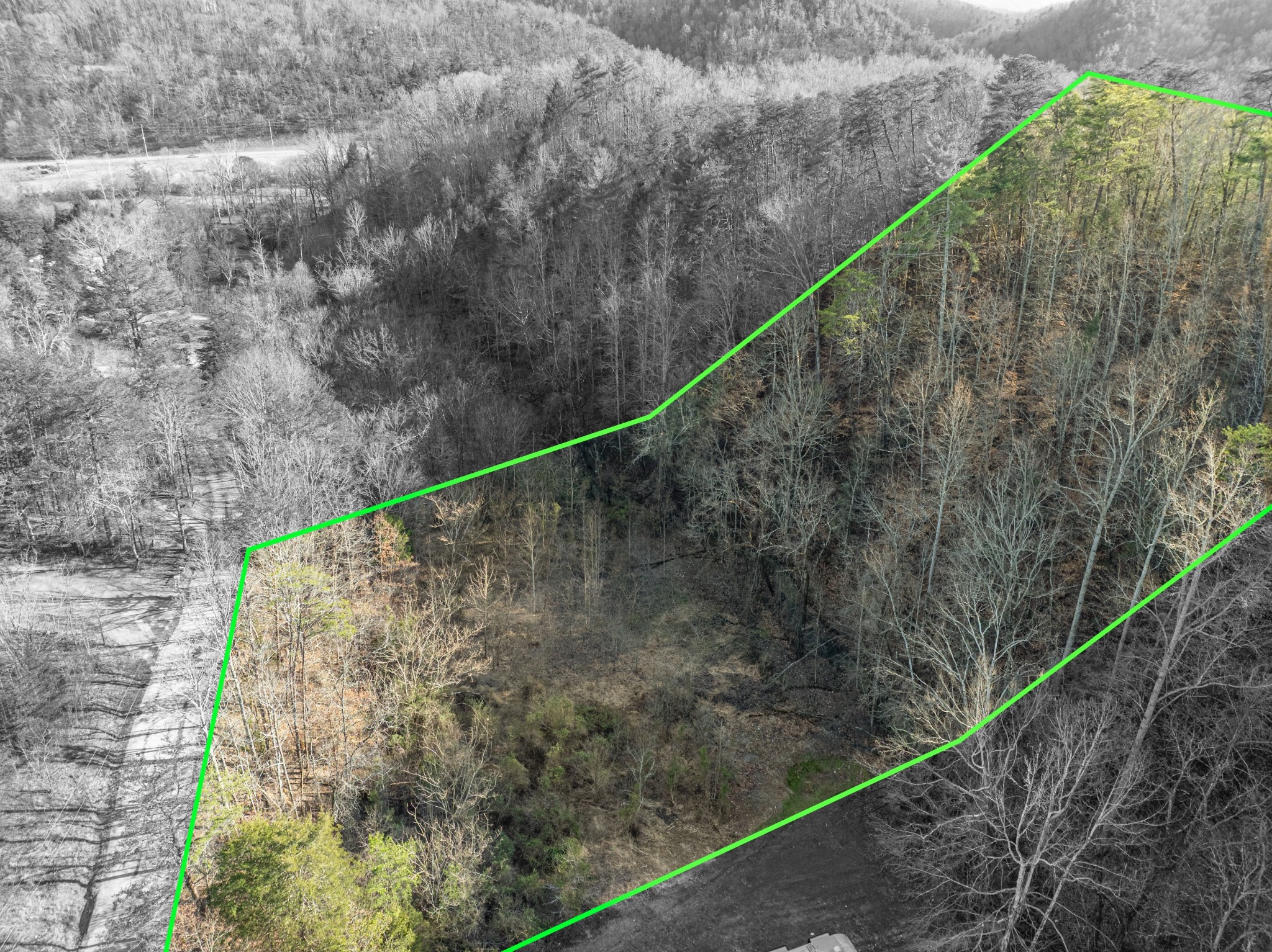 0 Mortar Road Sevierville, TN 37876 - Photo 3 of 6 a view of a balcony with a forest