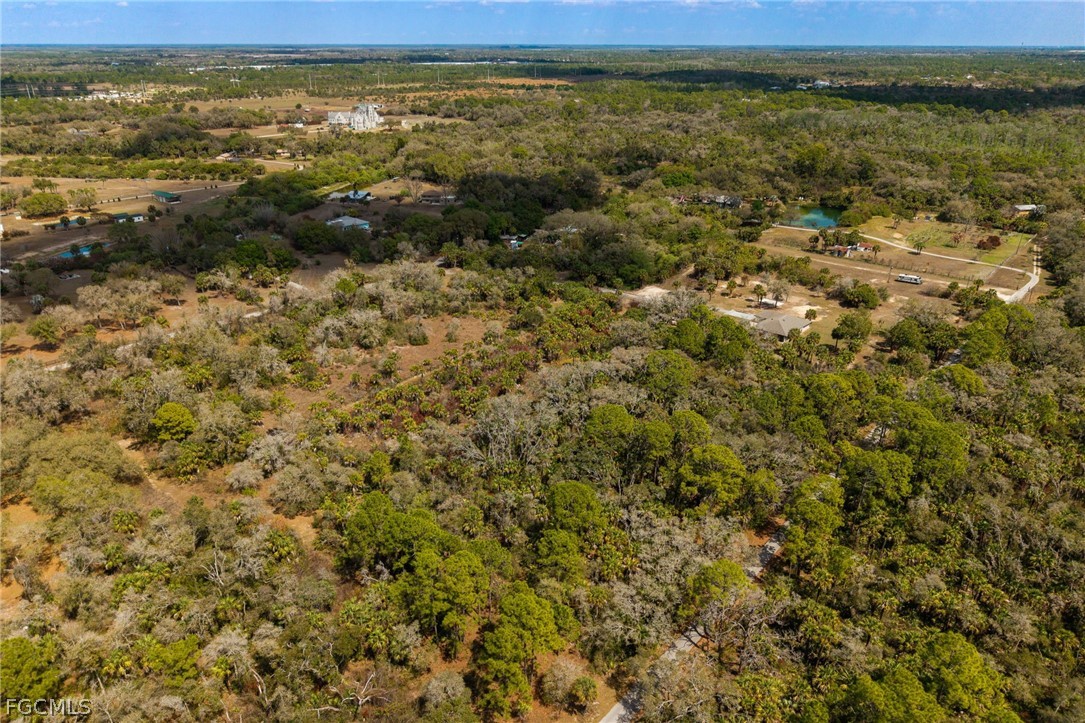 3751 Bateman Road Alva, FL 33920 - Photo 16 of 26 a view of an ocean from a yard