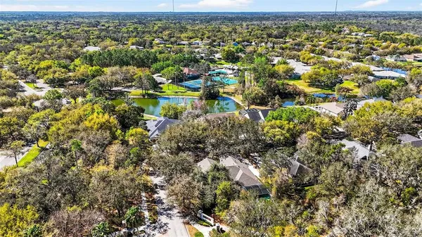 $729,000 | 15036 Eaglerise Drive, Lithia, FL 33547