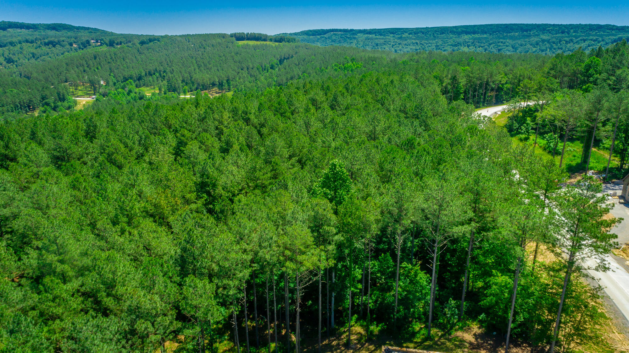 0 Split Rail Way, Unit LOT 1121 Guild, TN 37340 - Photo 42 of 103 River Gorge Lot 1121 HD-43