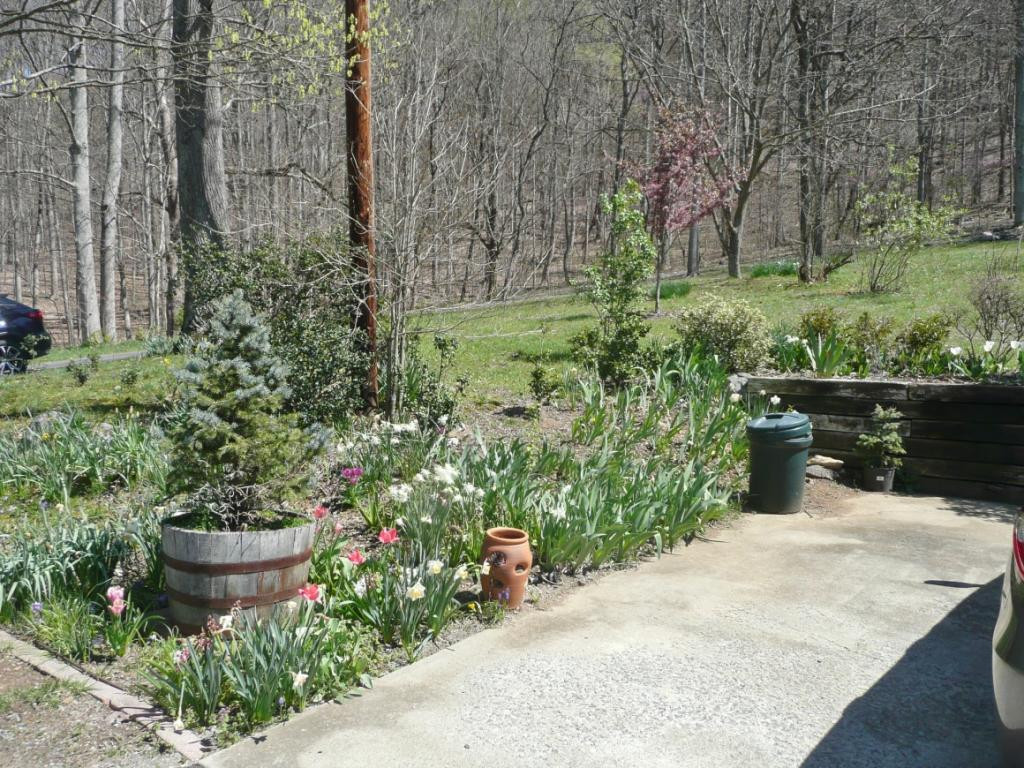 869 Cooks Valley Road Kingsport, TN 37664 - Photo 12 of 24 Photo 12