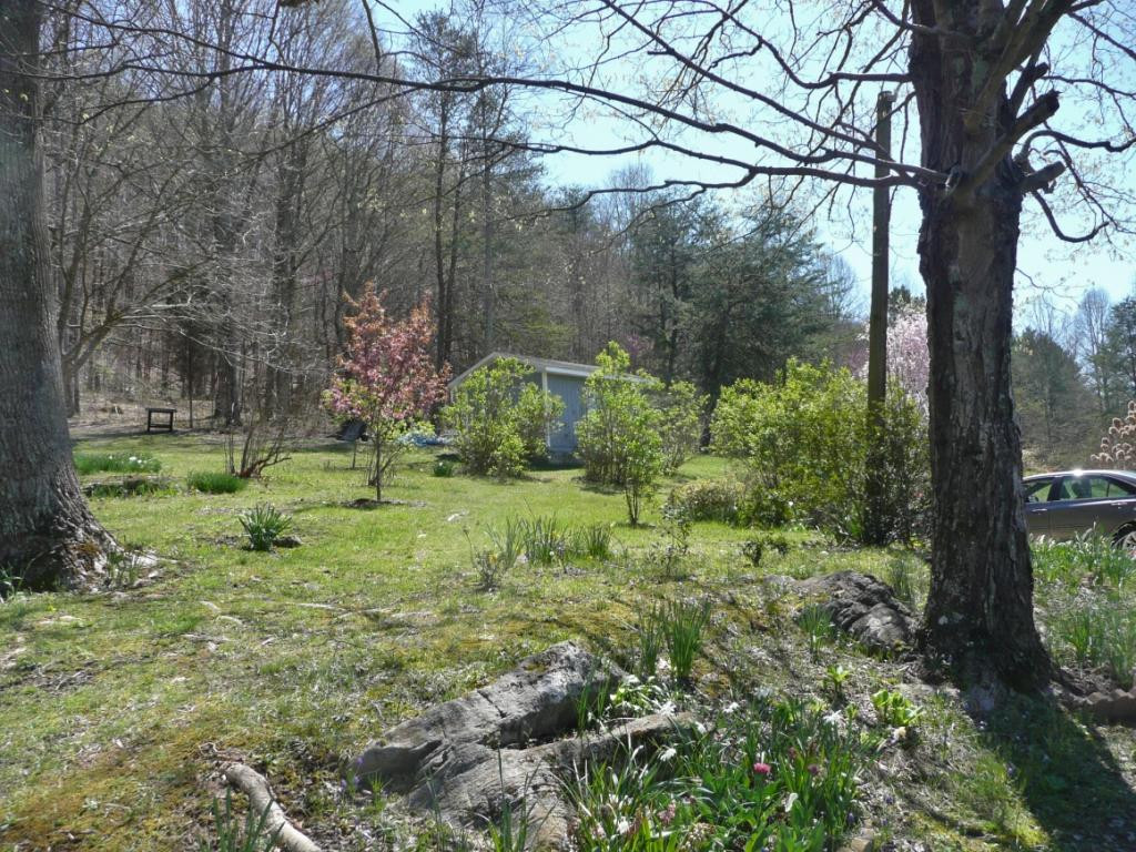 869 Cooks Valley Road Kingsport, TN 37664 - Photo 16 of 24 Photo 16