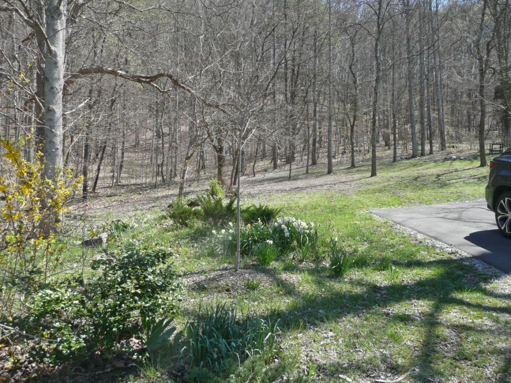 869 Cooks Valley Road Kingsport, TN 37664 - Photo 17 of 24 Photo 17