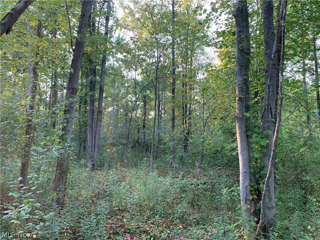 Arthur Road Jefferson, OH 44047 - Photo 9 of 26