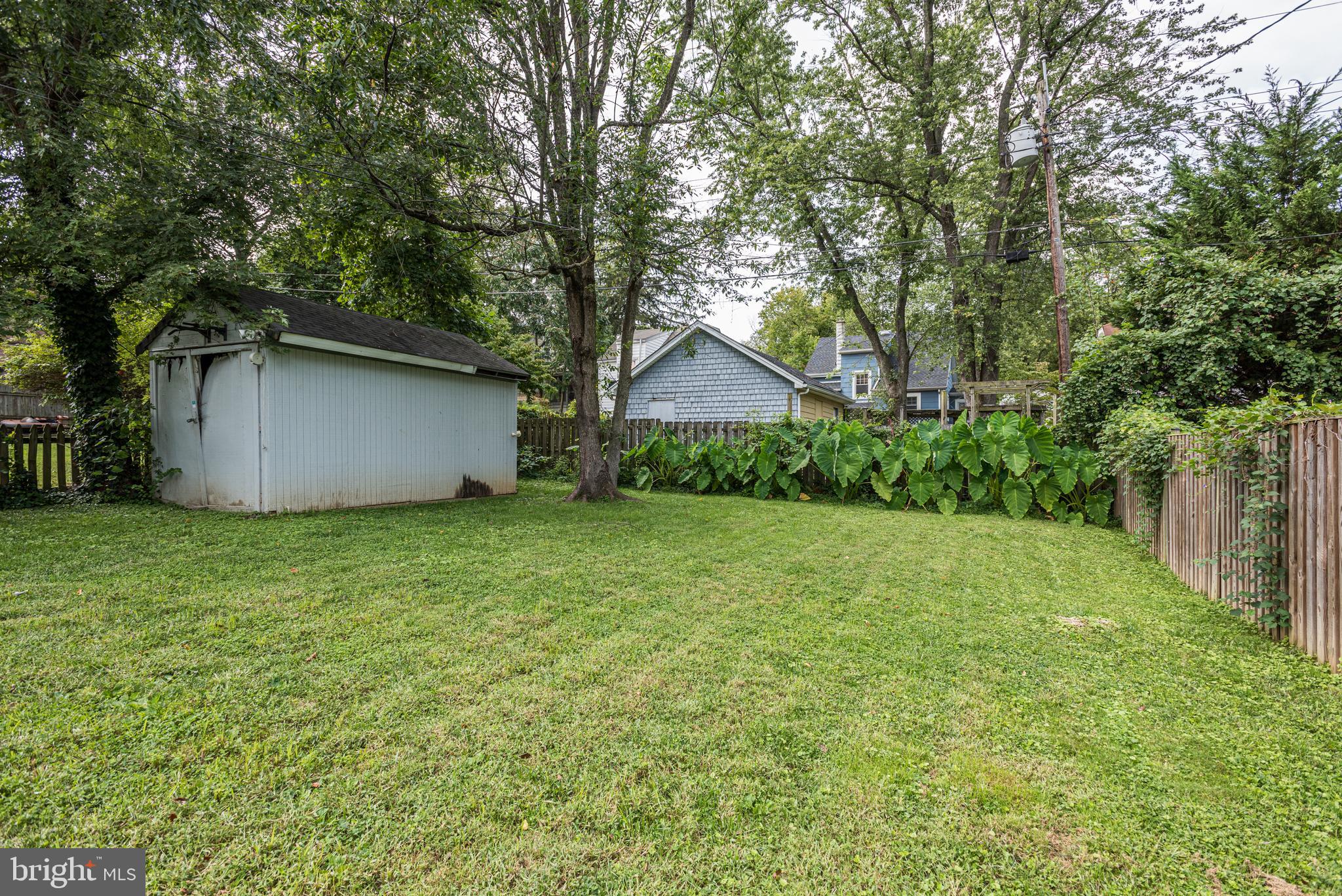 826 Cedarcroft Road Baltimore, MD 21212 - Photo 5 of 55 Huge back yard,