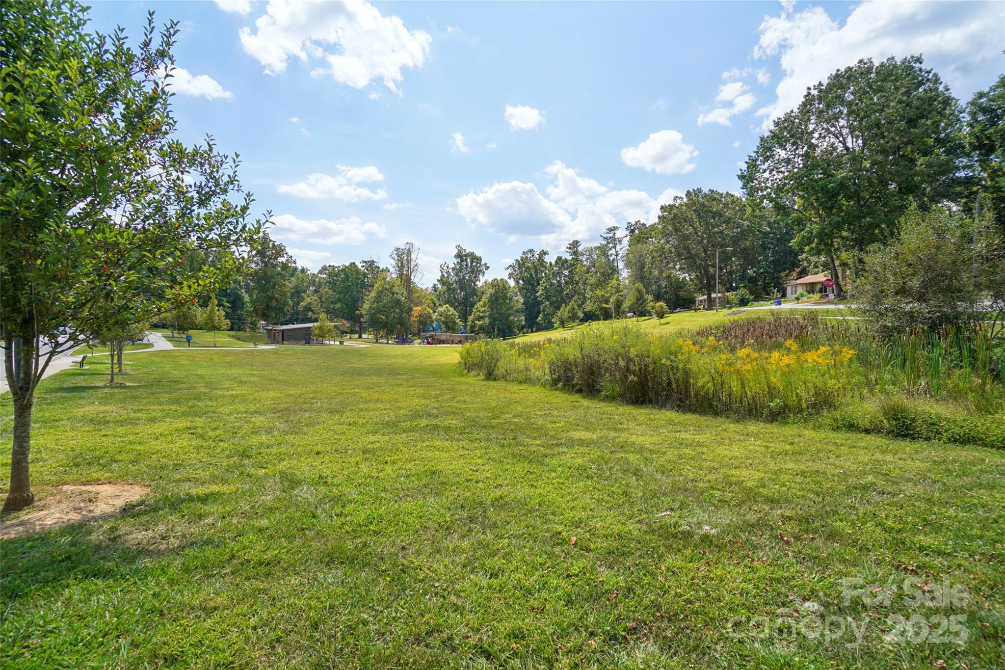 147 Cedar Lane Arden, NC 28704 - Photo 45 of 48 a view of a grassy field